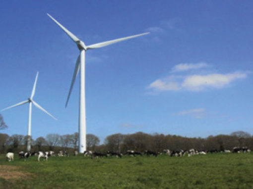 Suivi environnemental autour de onze éoliennes – Leonid-AS Montbray Margueray (50)