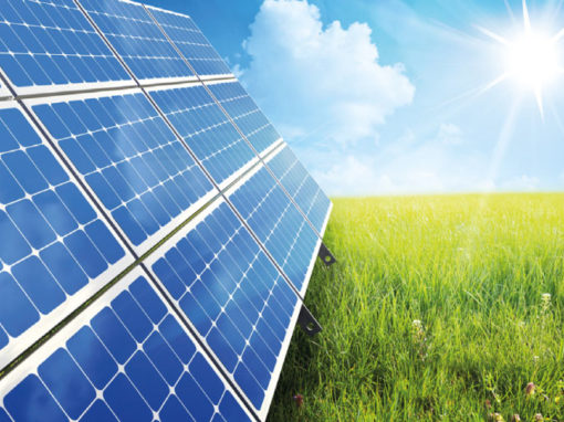 Suivi environnemental de chantier – Akuo Energy Centrale photovoltaïque de Lherm (31)