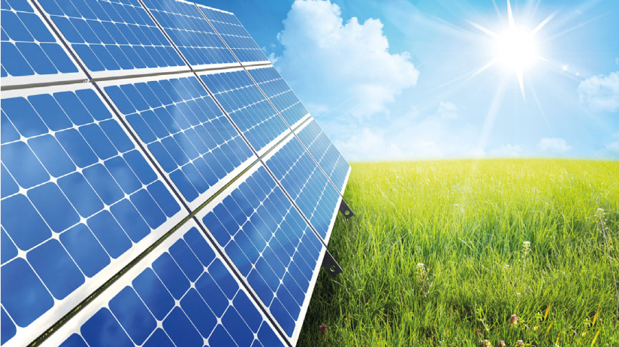 Suivi environnemental de chantier – Akuo Energy Centrale photovoltaïque de Lherm (31)